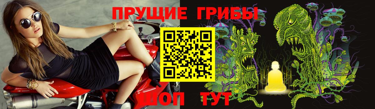 Галлюциногенные грибы Psilocybe Луга